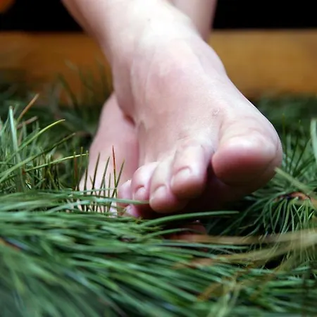 Almdorf Tonnerhuette Mühlen