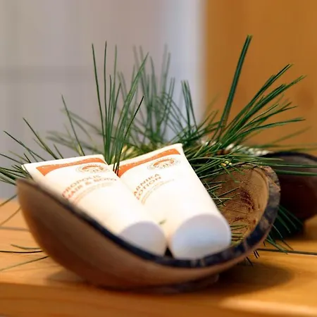 Almdorf Tonnerhuette 3* Mühlen