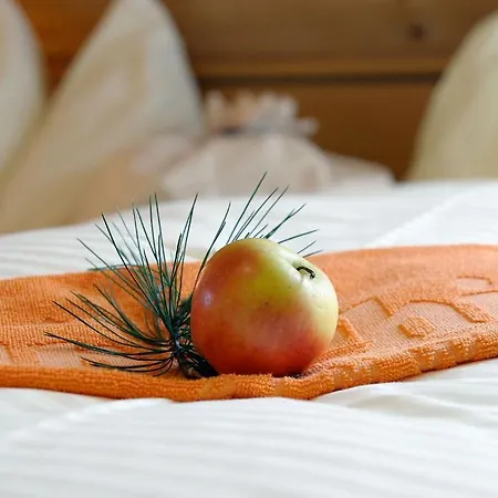 Almdorf Tonnerhuette Gæstehus 3*