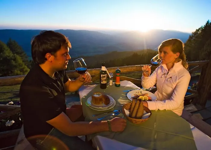 Almdorf Tonnerhuette 3* Mühlen