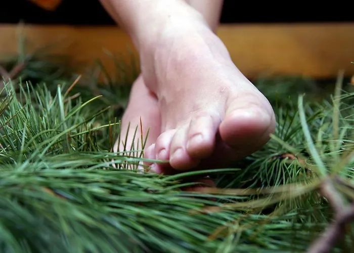 Almdorf Tonnerhuette Mühlen