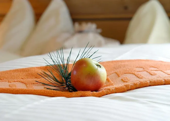 Almdorf Tonnerhuette Гостевой дом 3*