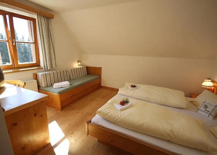 Pensionat Almdorf Tonnerhuette